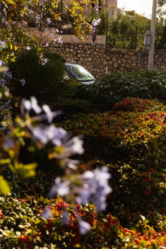 Buy photo garden Toulon Côte d'Azur France